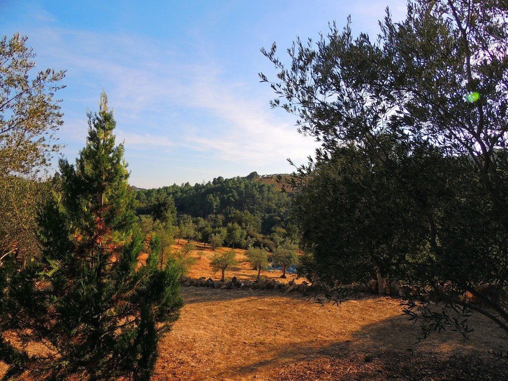 Foto de Cañamero (Cáceres), España
