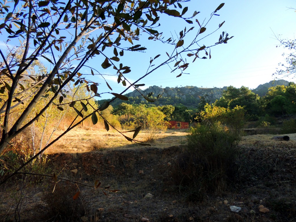 Foto de Cañamero (Cáceres), España