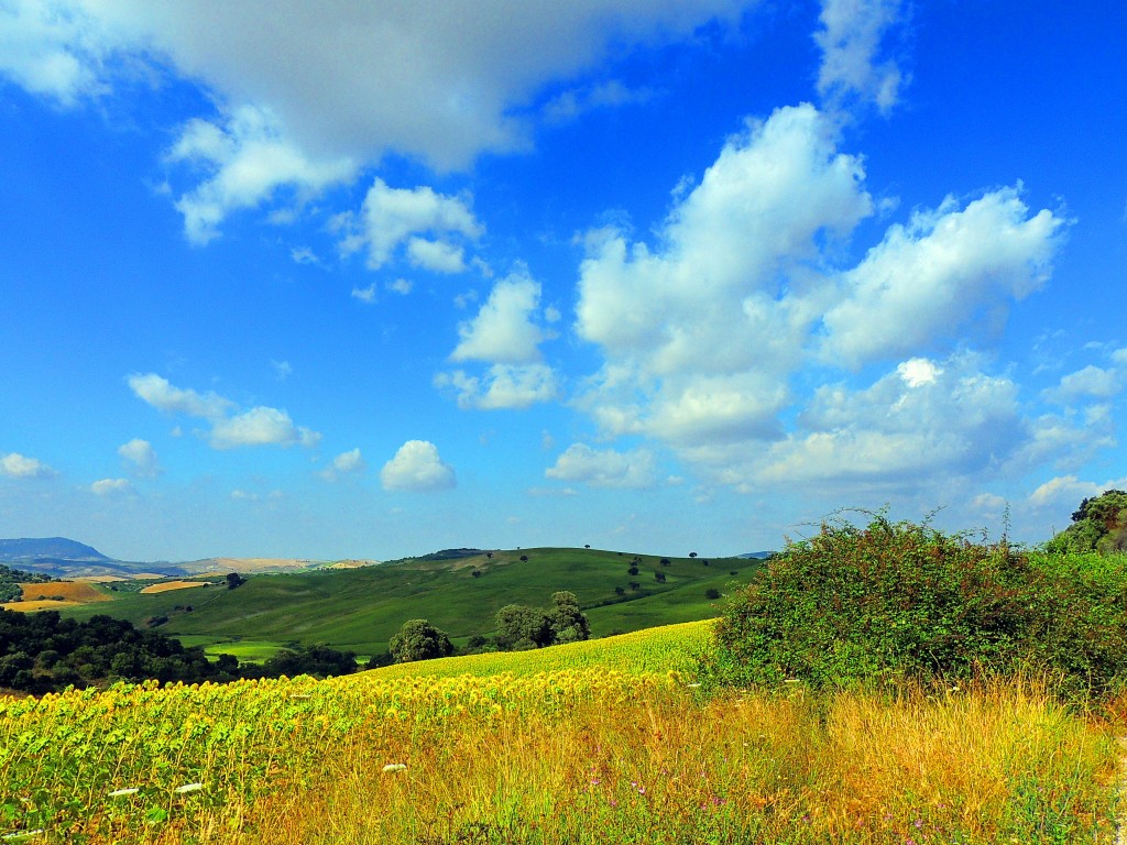 Foto de Castillo de Cote (Sevilla), España