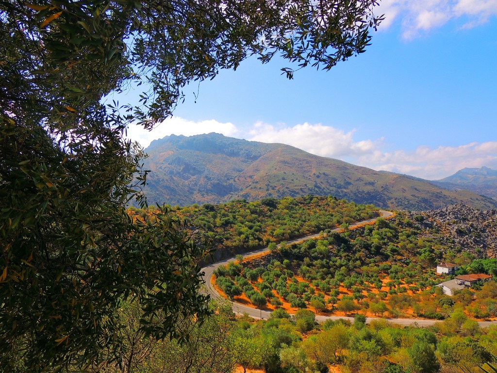 Foto de Cueva de la Pileta (Málaga), España
