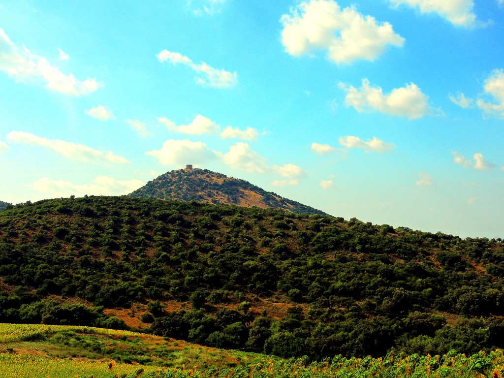 Foto de Castillo de Cote (Sevilla), España