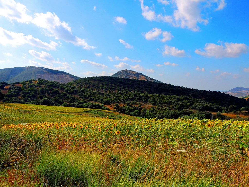 Foto de Castillo de Cote (Sevilla), España