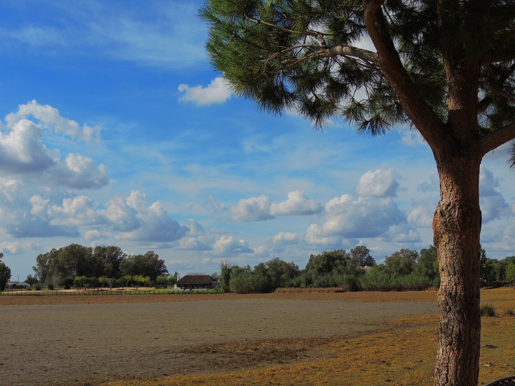 Foto de El Rocío (Huelva), España