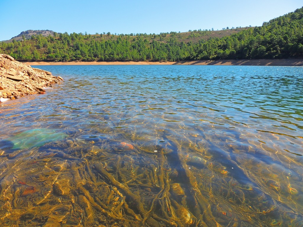 Foto de Cacho del Fresno (Cáceres), España