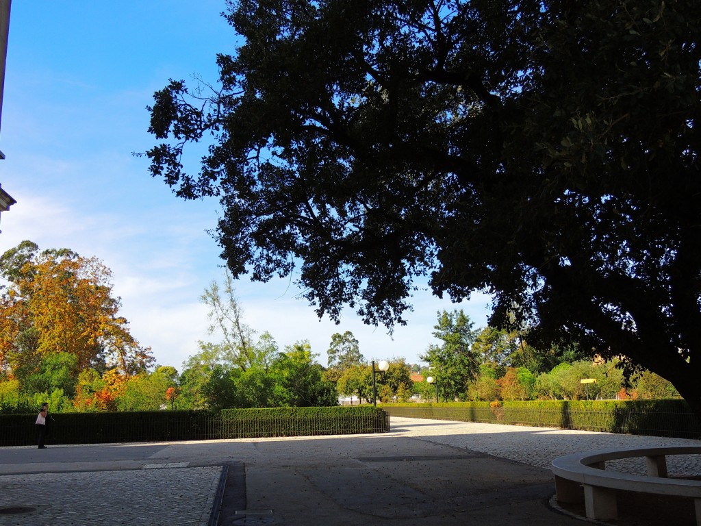Foto de Fátima (Santarém), Portugal