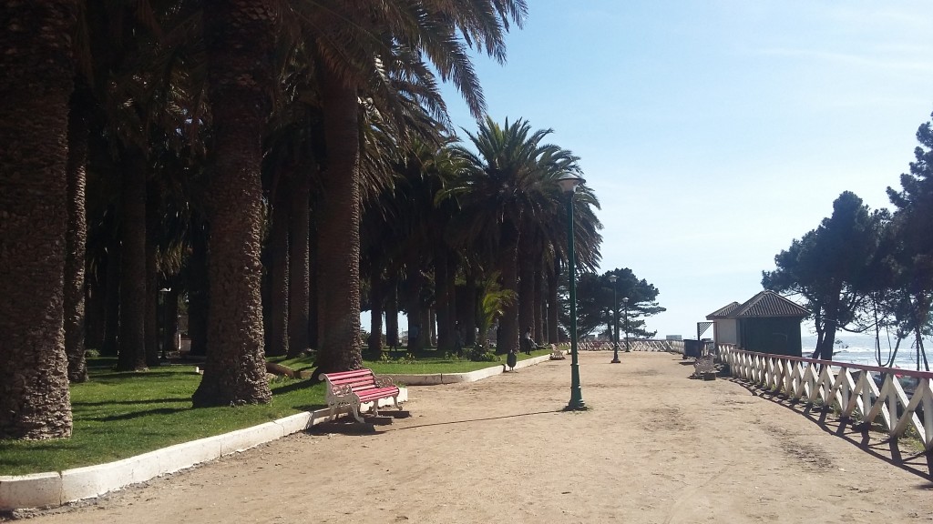 Foto: Pichilemu - Pichilemu (Libertador General Bernardo OʼHiggins), Chile