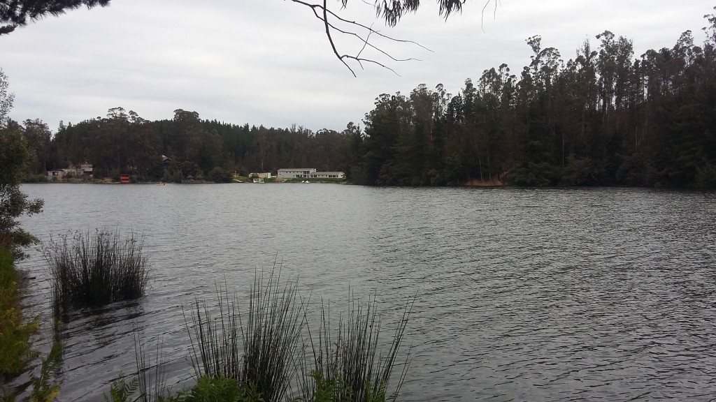 Foto: Laguna De La Luz - Curauma (Valparaíso), Chile