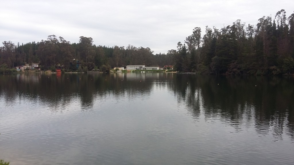 Foto: Laguna De La Luz - Curauma (Valparaíso), Chile