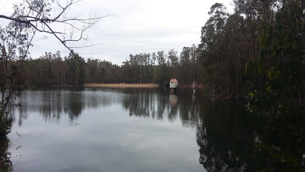 Foto: Laguna De La Luz - Curauma (Valparaíso), Chile
