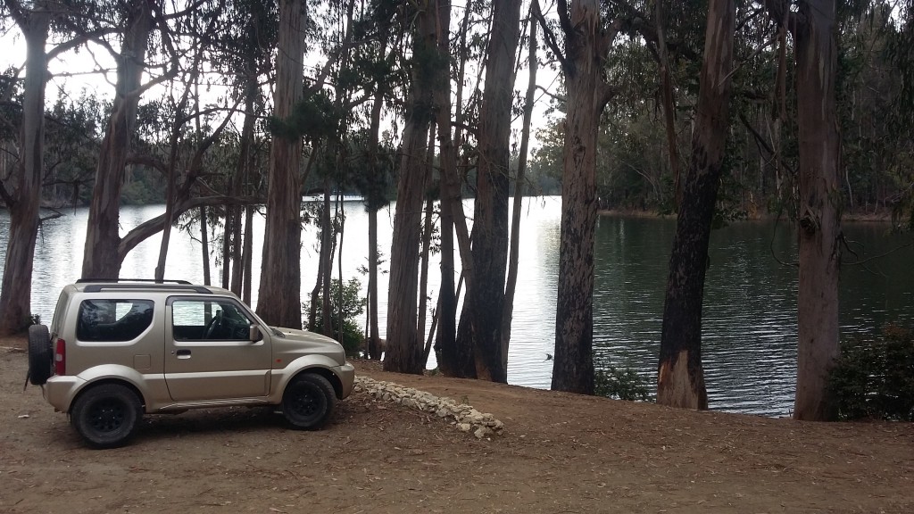 Foto: Laguna De La Luz - Curauma (Valparaíso), Chile