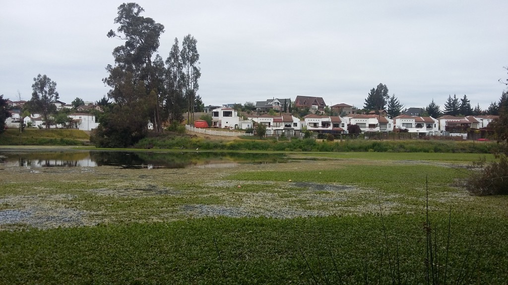 Foto: Laguna De La Luz - Curauma (Valparaíso), Chile