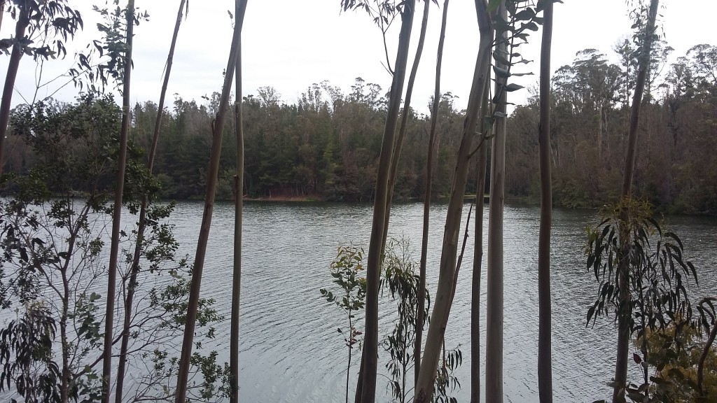 Foto: Laguna De La Luz - Curauma (Valparaíso), Chile