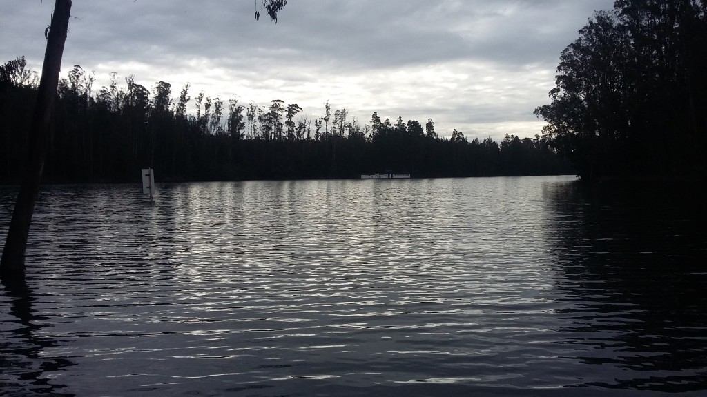 Foto: Laguna De La Luz - Curauma (Valparaíso), Chile