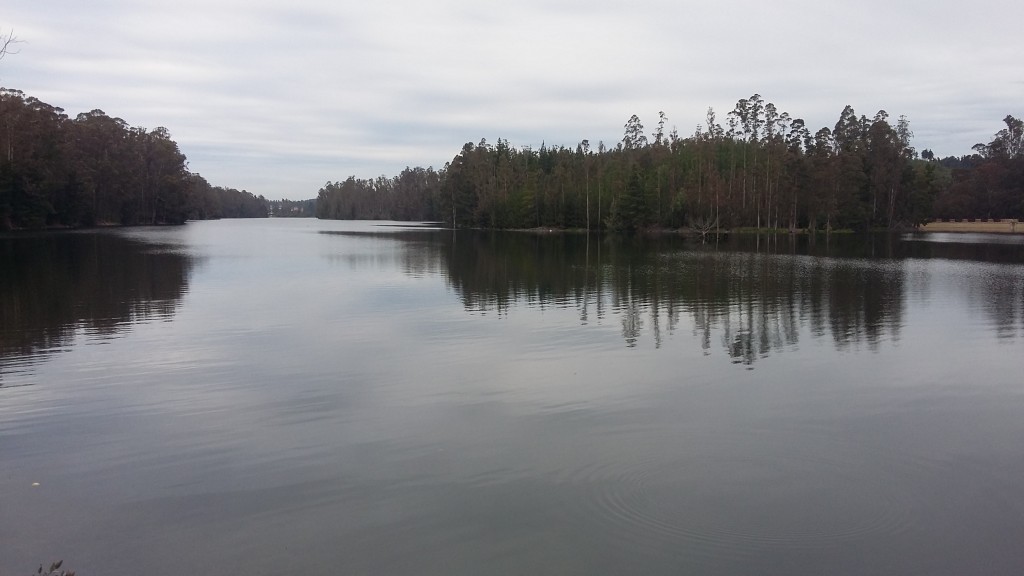Foto: Laguna De La Luz - Curauma (Valparaíso), Chile