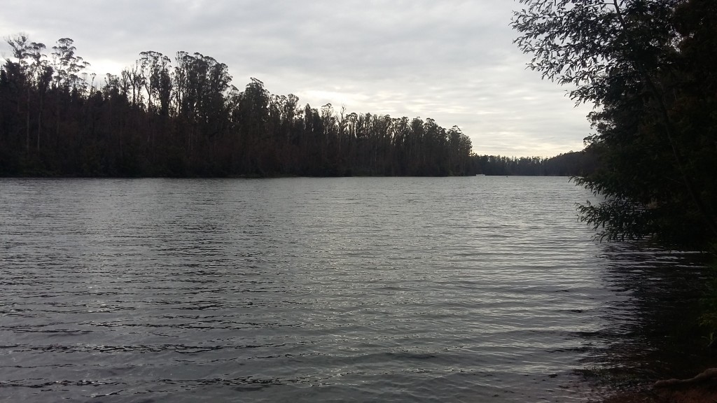Foto: Laguna De La Luz - Curauma (Valparaíso), Chile