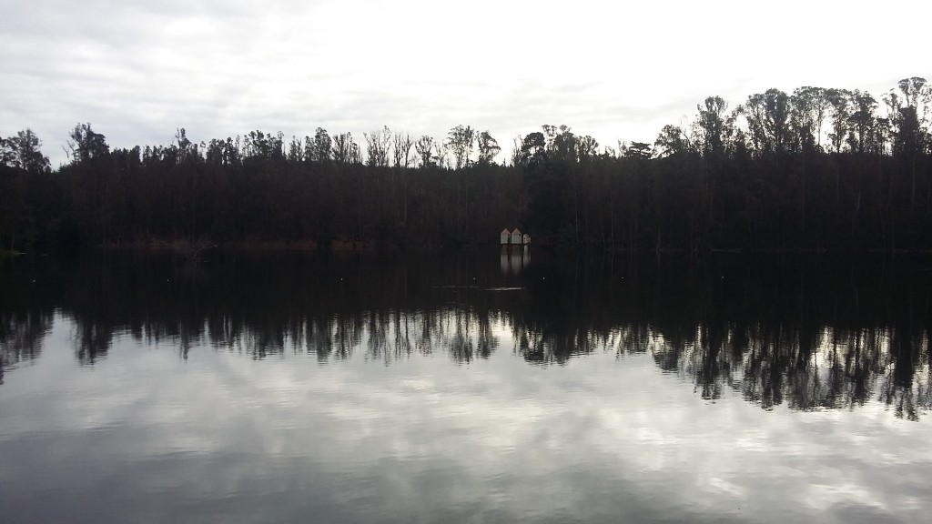 Foto: Laguna De La Luz - Curauma (Valparaíso), Chile