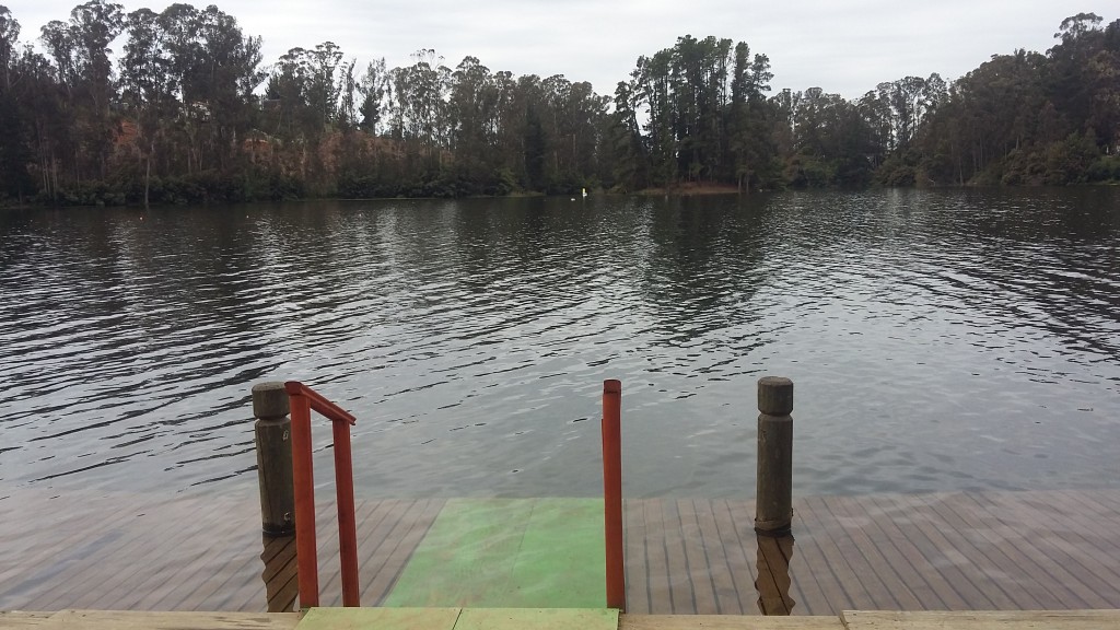 Foto: Laguna De La Luz - Curauma (Valparaíso), Chile