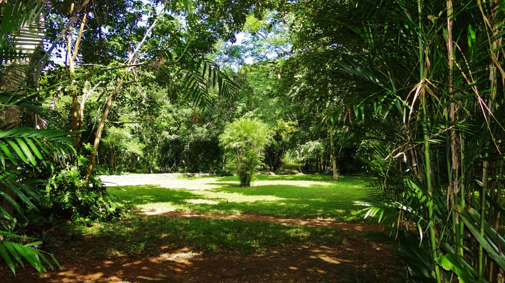 Foto: Yacimiento Arqueológico de Ek Balam - Ek Balam (Yucatán), México