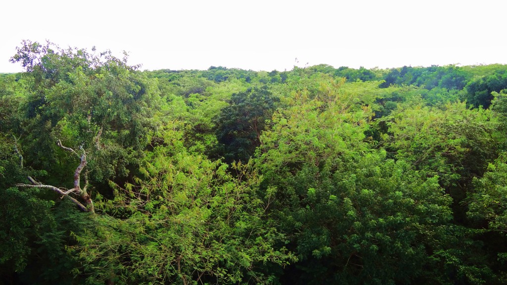 Foto: Yacimiento Arqueológico de Ek Balam - Ek Balam (Yucatán), México