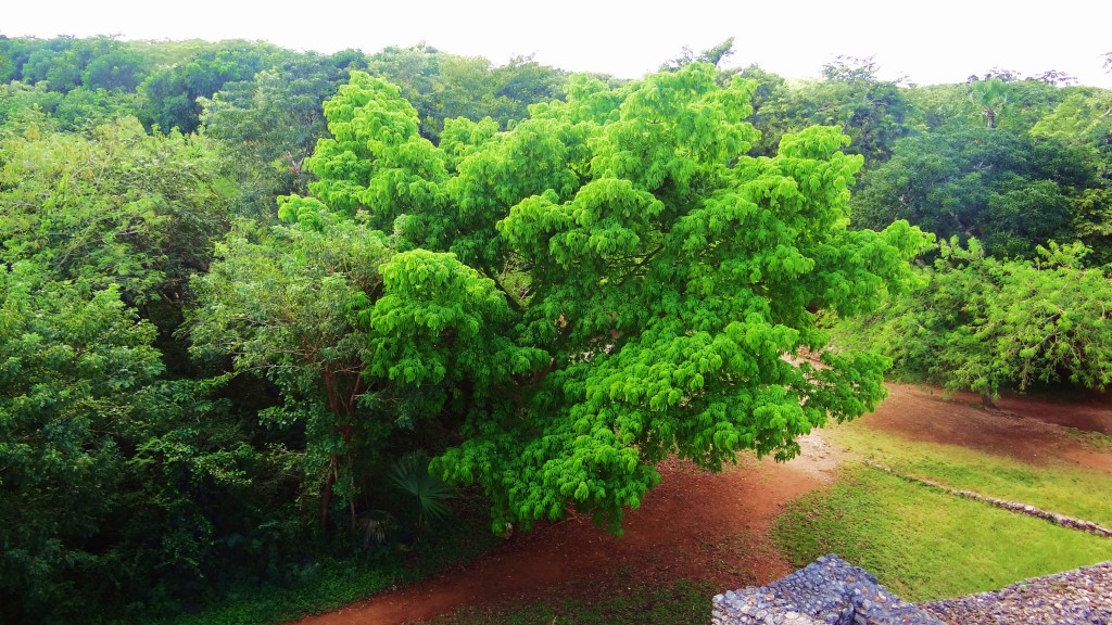 Foto: Yacimiento Arqueológico de Ek Balam - Ek Balam (Yucatán), México