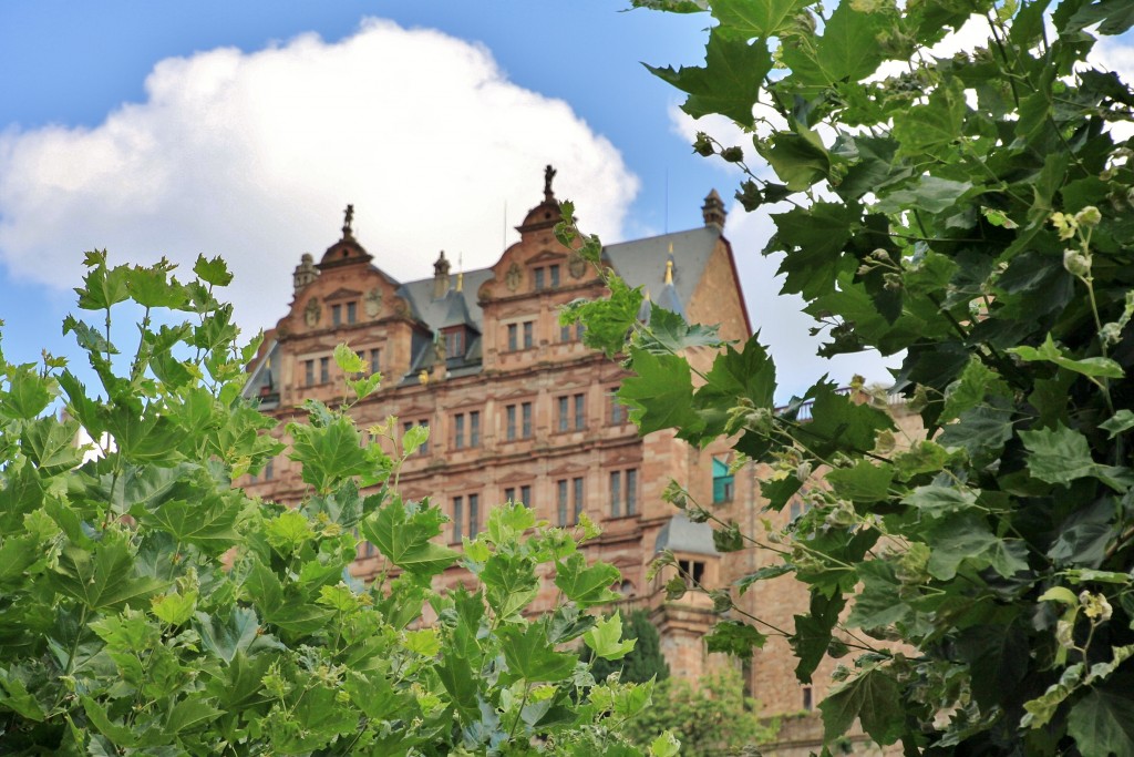 Foto: Castillo - Heidelberg (Baden-Württemberg), Alemania