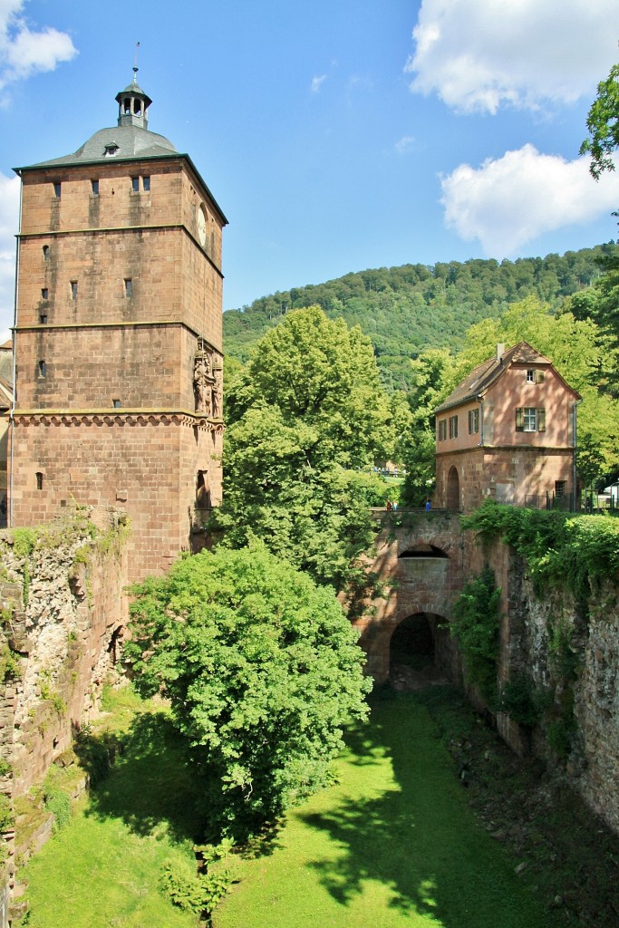 Foto: Castillo - Heidelberg (Baden-Württemberg), Alemania