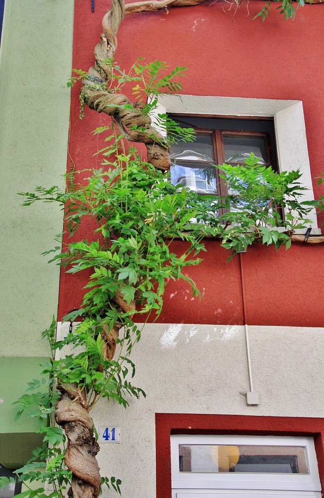 Foto: Centro histórico - Friburgo (Baden-Württemberg), Alemania