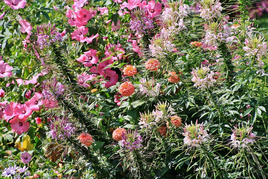 Foto: Jardín - Baden-Baden (Baden-Württemberg), Alemania