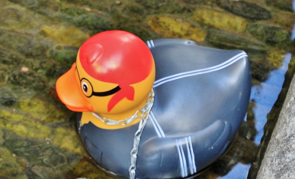 Foto: Navegante - Friburgo (Baden-Württemberg), Alemania