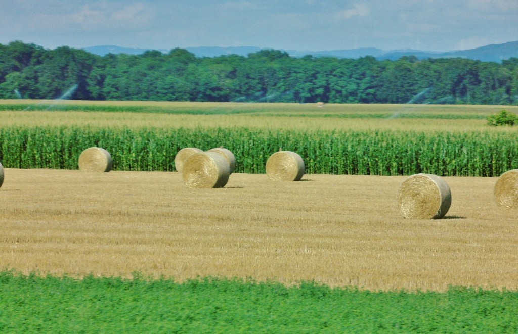 Foto: Paisaje - Colmar (Alsace), Francia