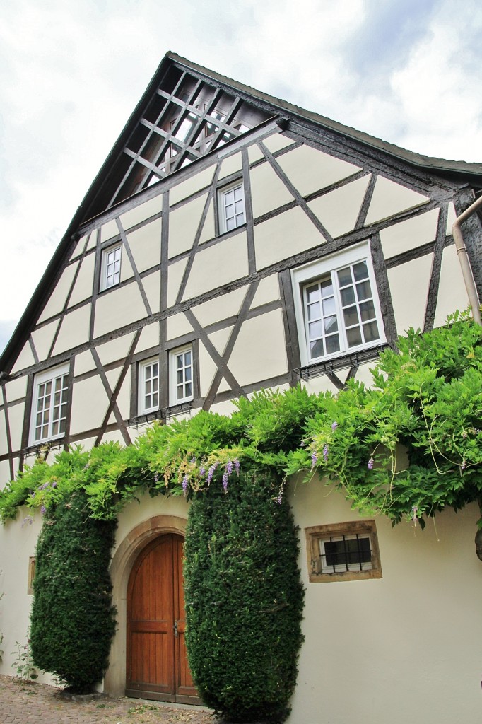 Foto: Centro hitórico - Colmar (Alsace), Francia