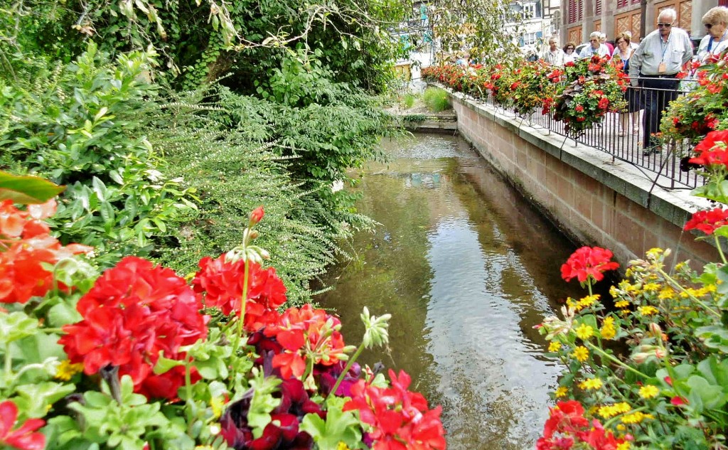 Foto: Centro histórico - Colmar (Alsace), Francia