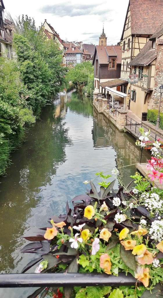 Foto: Centro hitórico - Colmar (Alsace), Francia