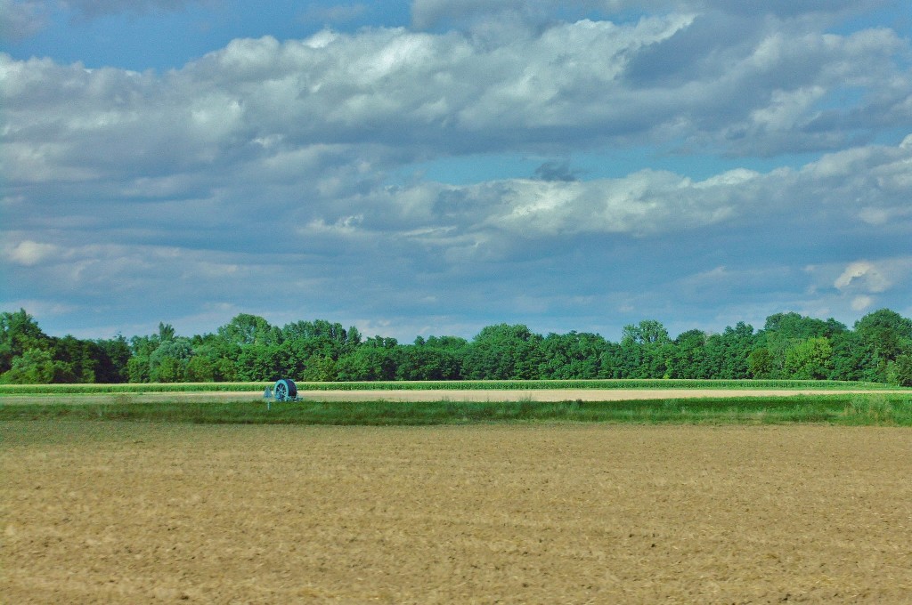 Foto: Paisaje - Colmar (Alsace), Francia