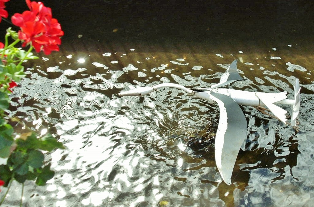Foto: Centro histórico - Colmar (Alsace), Francia