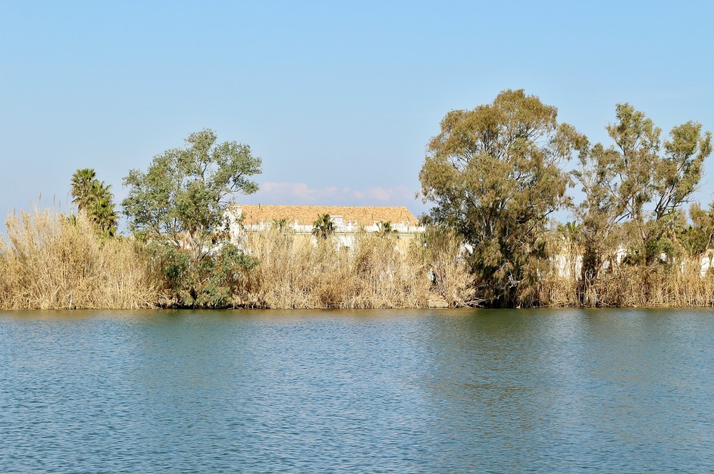 Foto: Navegando por el río Ebro - Deltebre (Tarragona), España