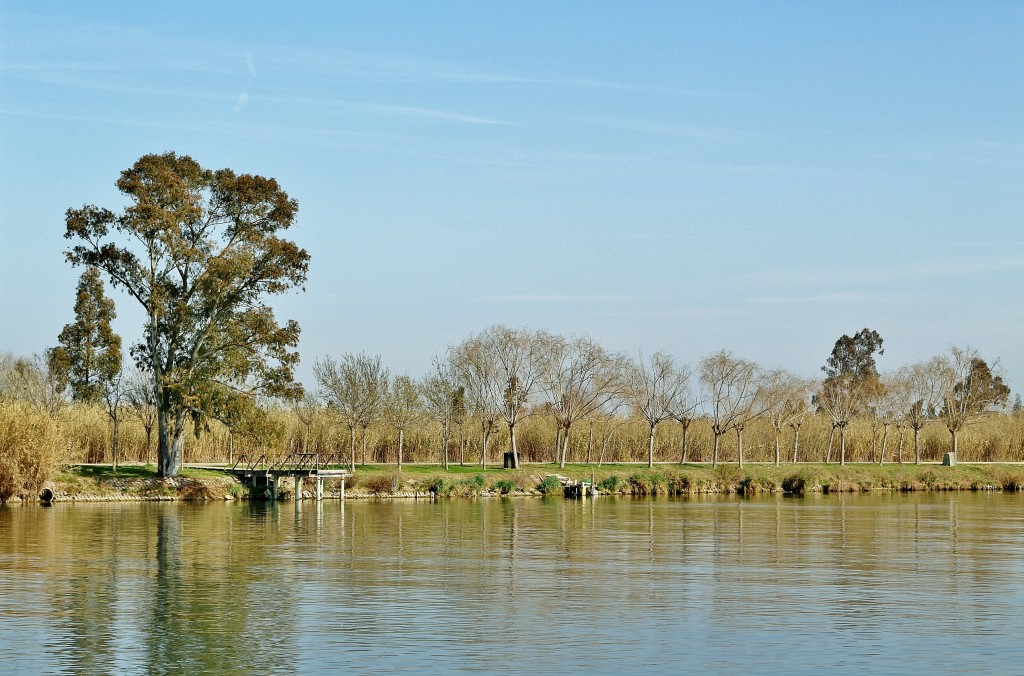 Foto: Navegando por el río Ebro - Deltebre (Tarragona), España