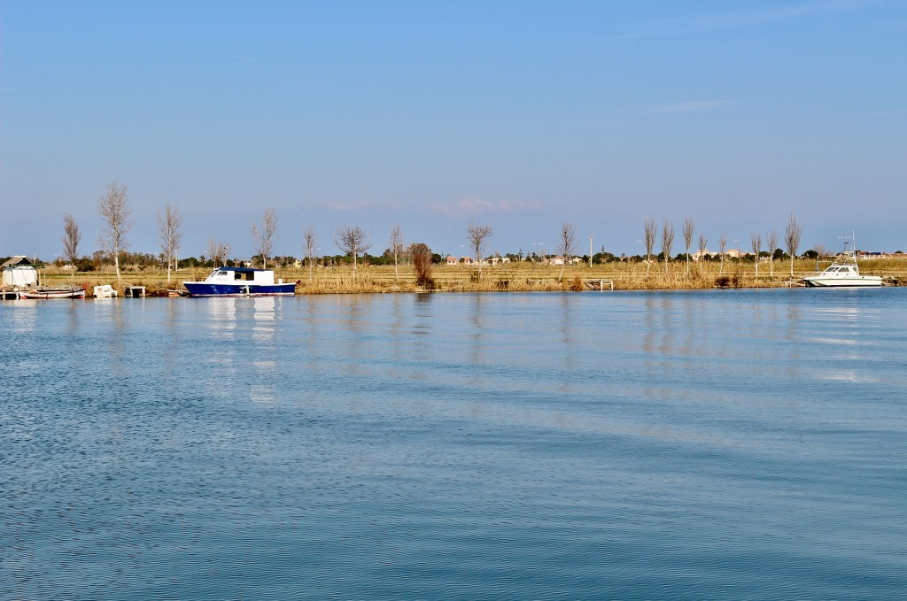 Foto: Navegando por el río Ebro - Deltebre (Tarragona), España