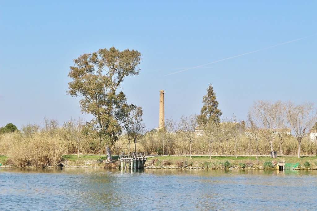 Foto: Navegando por el río Ebro - Deltebre (Tarragona), España