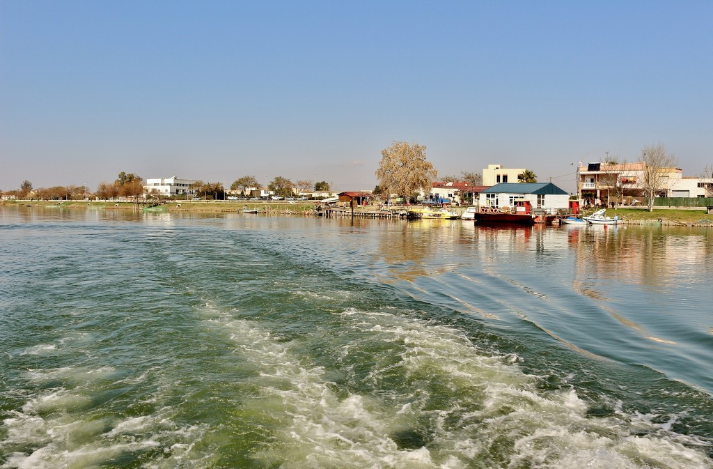Foto: Navegando por el río Ebro - Deltebre (Tarragona), España