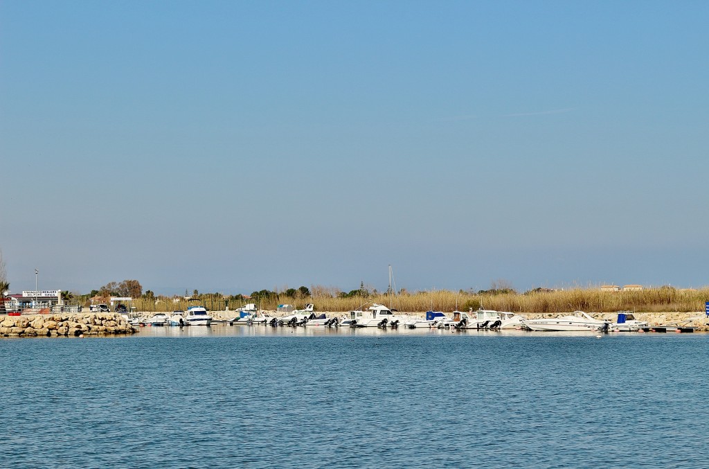 Foto: Navegando por el río Ebro - Deltebre (Tarragona), España