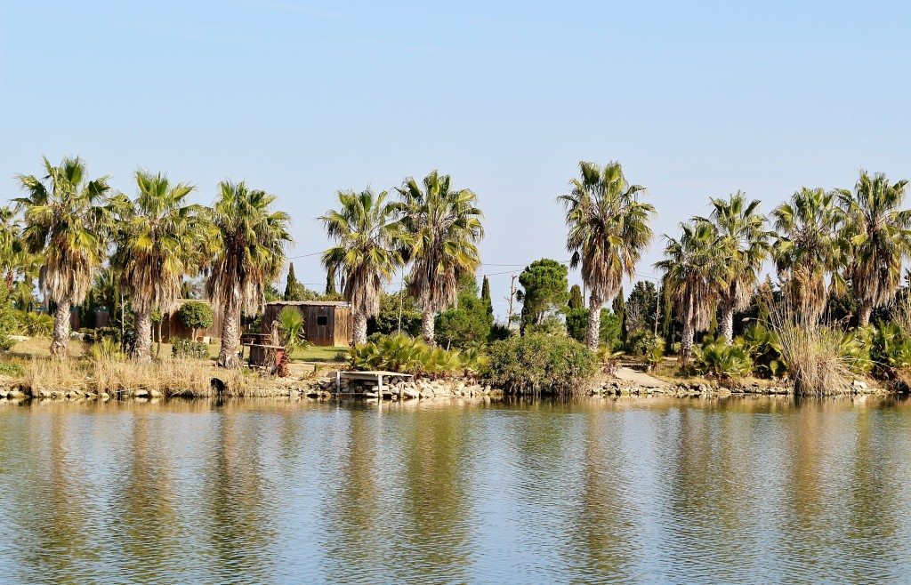 Foto: Navegando por el río Ebro - Deltebre (Tarragona), España