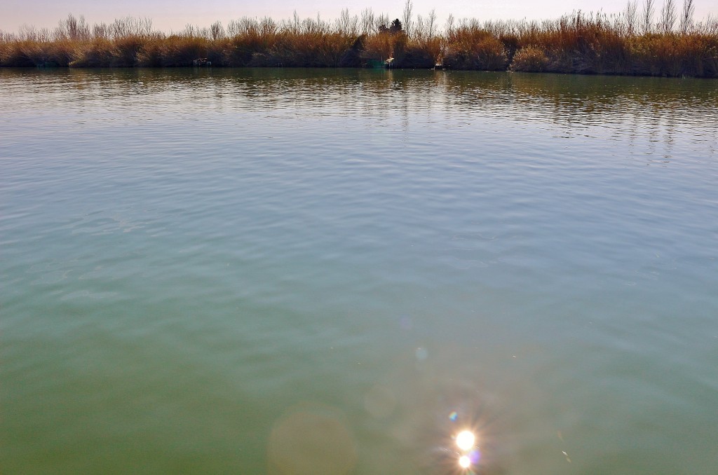 Foto: Navegando por el río Ebro - Deltebre (Tarragona), España