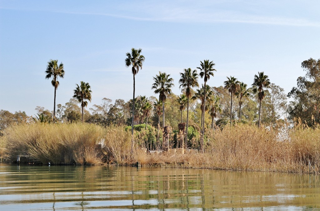 Foto: Navegando por el río Ebro - Deltebre (Tarragona), España