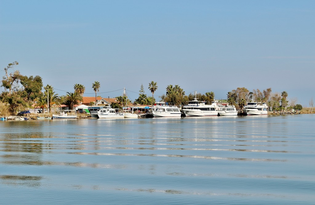 Foto: Navegando por el río Ebro - Deltebre (Tarragona), España