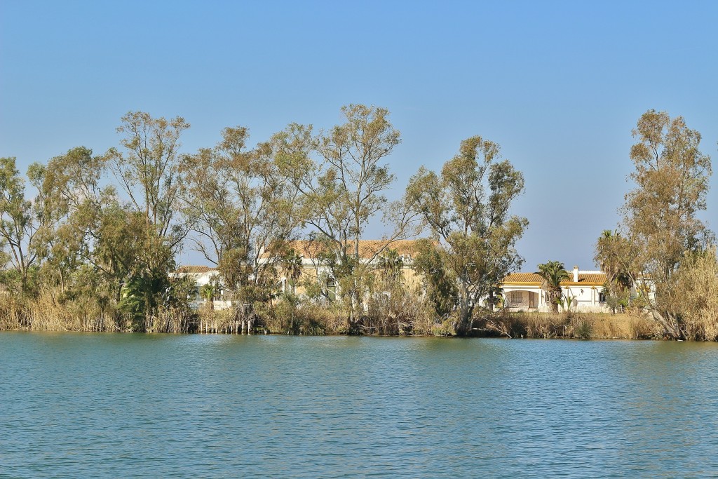Foto: Navegando por el río Ebro - Deltebre (Tarragona), España