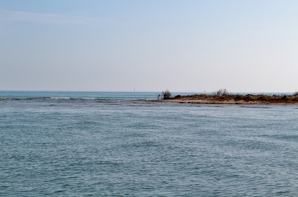 Foto: Navegando por el río Ebro - Deltebre (Tarragona), España