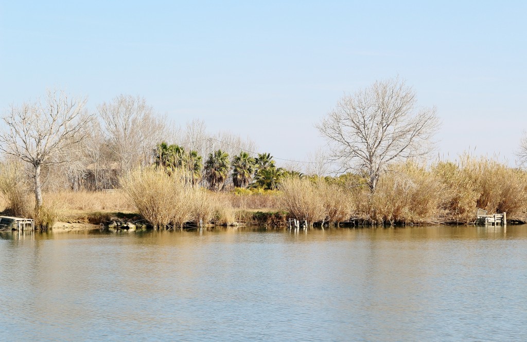 Foto: Navegando por el río Ebro - Deltebre (Tarragona), España