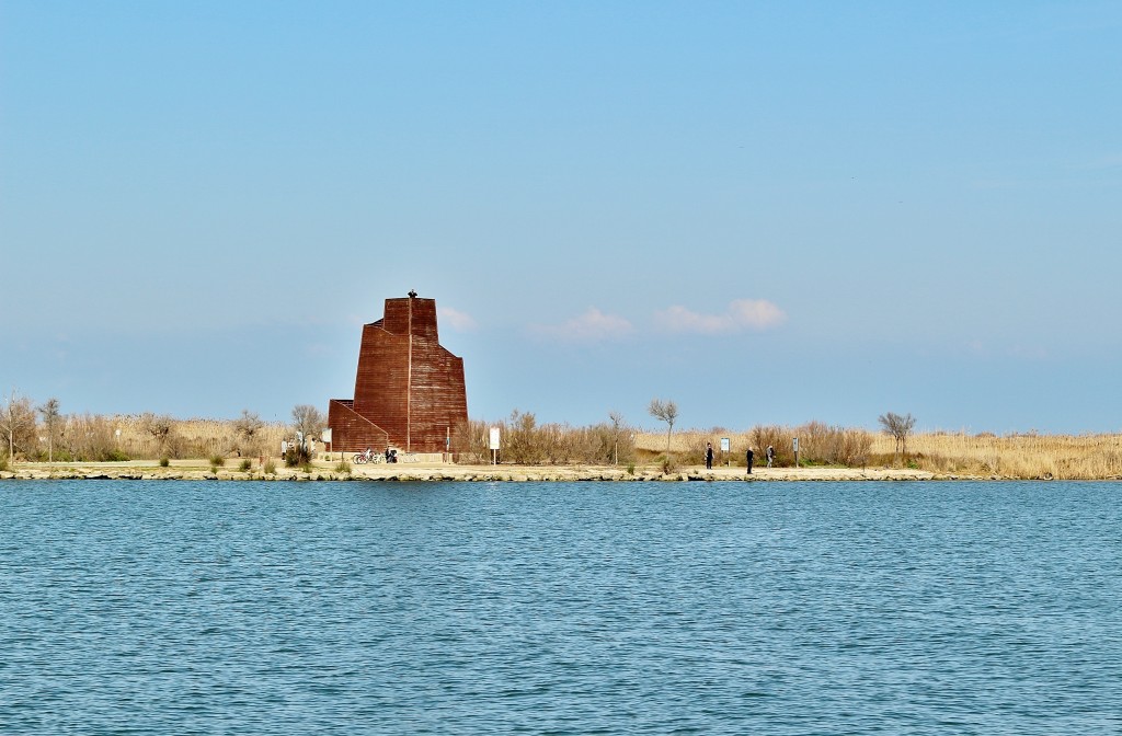 Foto: Navegando por el río Ebro - Deltebre (Tarragona), España