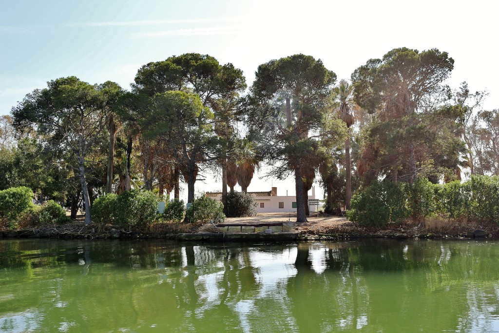Foto: Navegando por el río Ebro - Deltebre (Tarragona), España